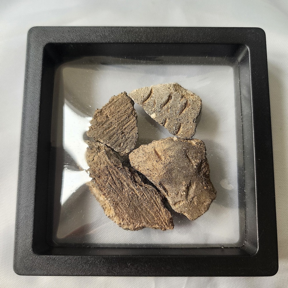 Ancient Pre Colombian Pottery‎ Shards Historical Artifacts Collection Detailed